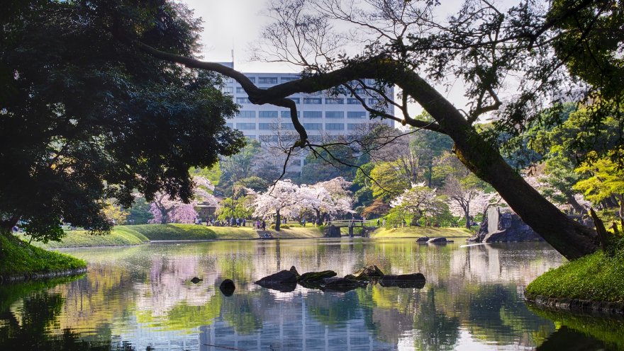 Olympus E-P5 + PANASONIC LEICA DG SUMMILUX 25mm/F1.4 ASPH. H-X025